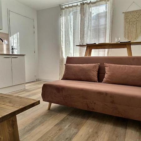Apartamento Le Petit Evali - Wifi - Centre Albi Exterior foto